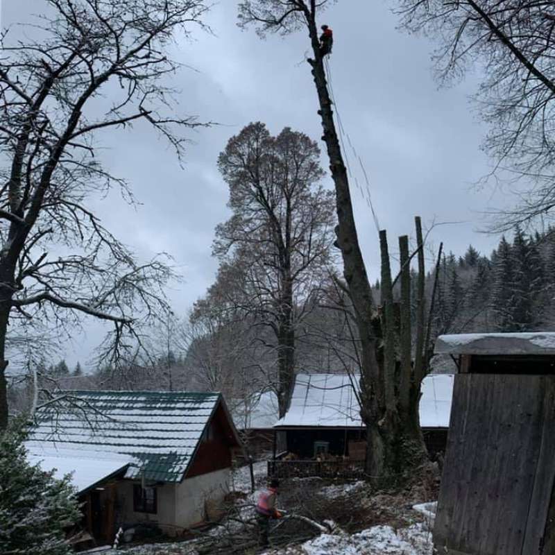 obrázok 50